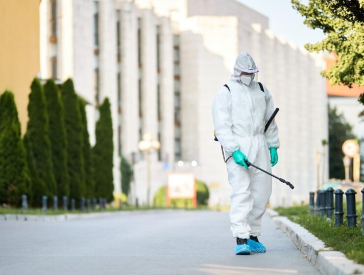 Screenshot_4-2-2026_11141_www.freepik.com