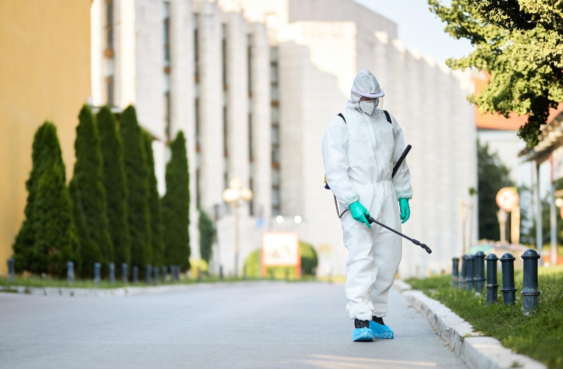 Screenshot_4-2-2026_11141_www.freepik.com